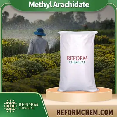 Methyl Arachidat