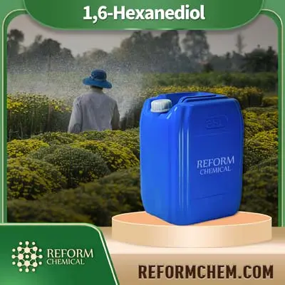 1,6-Hexandiol