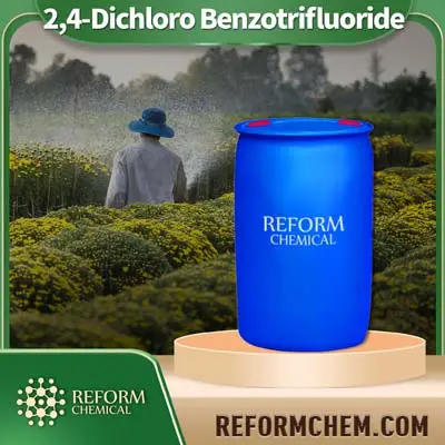 2,4-Dichlor Benzo tri fluorid