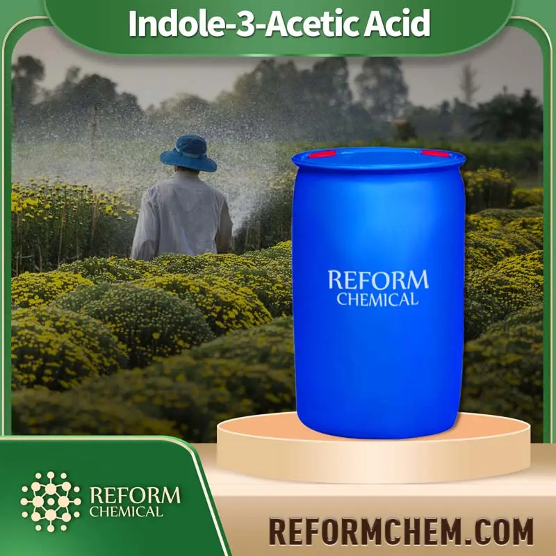 indole 3 acetic acid