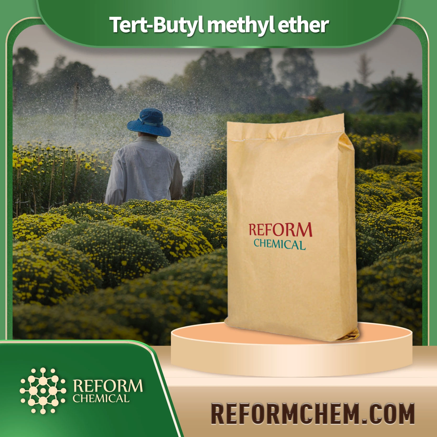 Tert-Butyl methyle ther