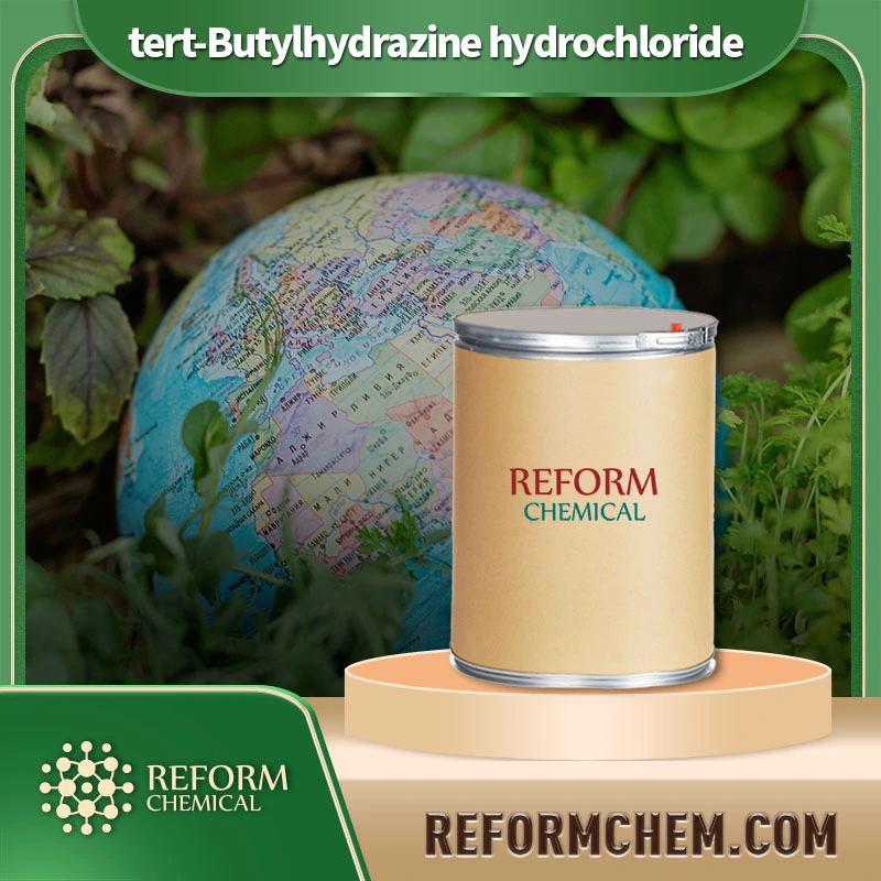 Tert-Butyl hydra zin hydrochlorid