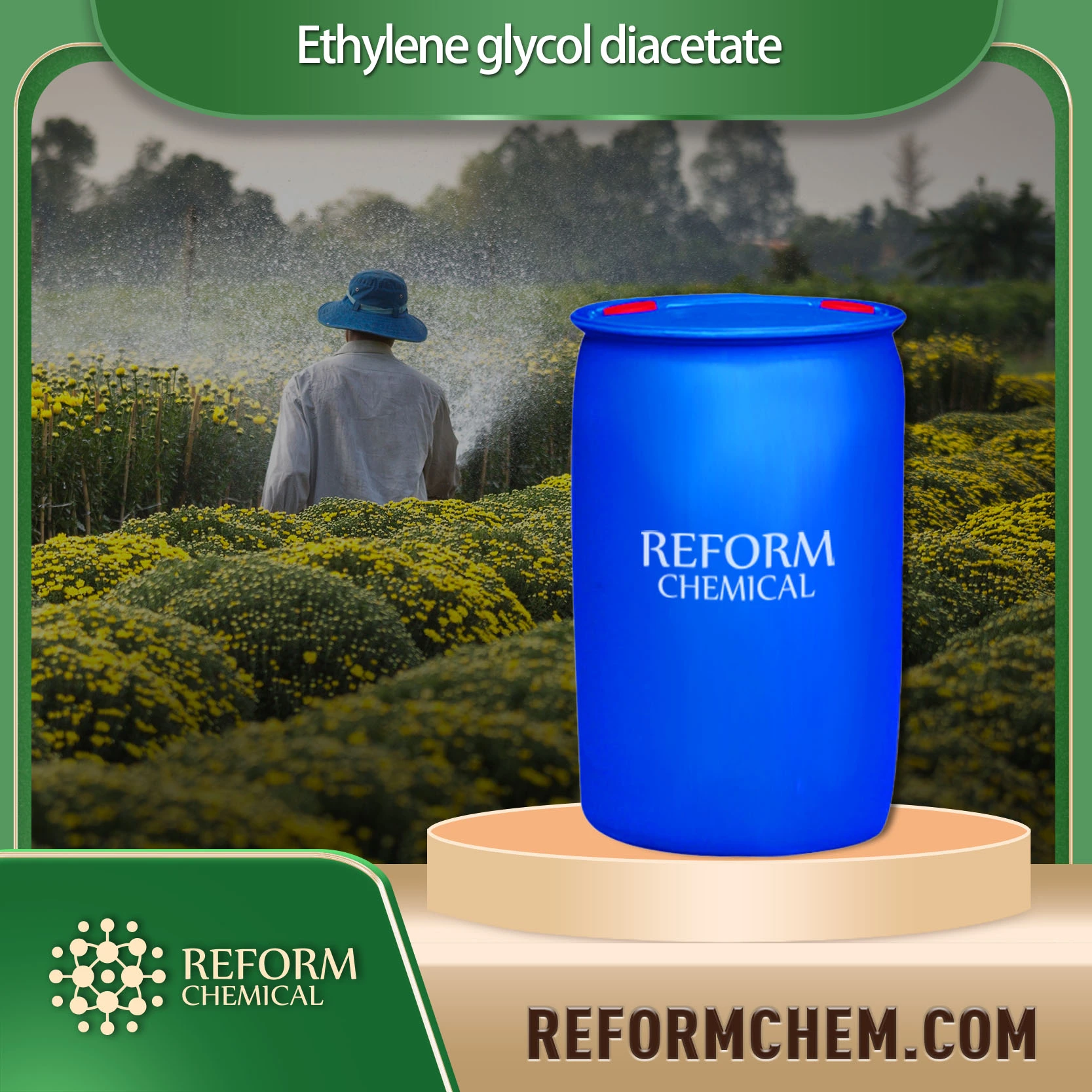 ethylene glycol diacetate 111 55 7