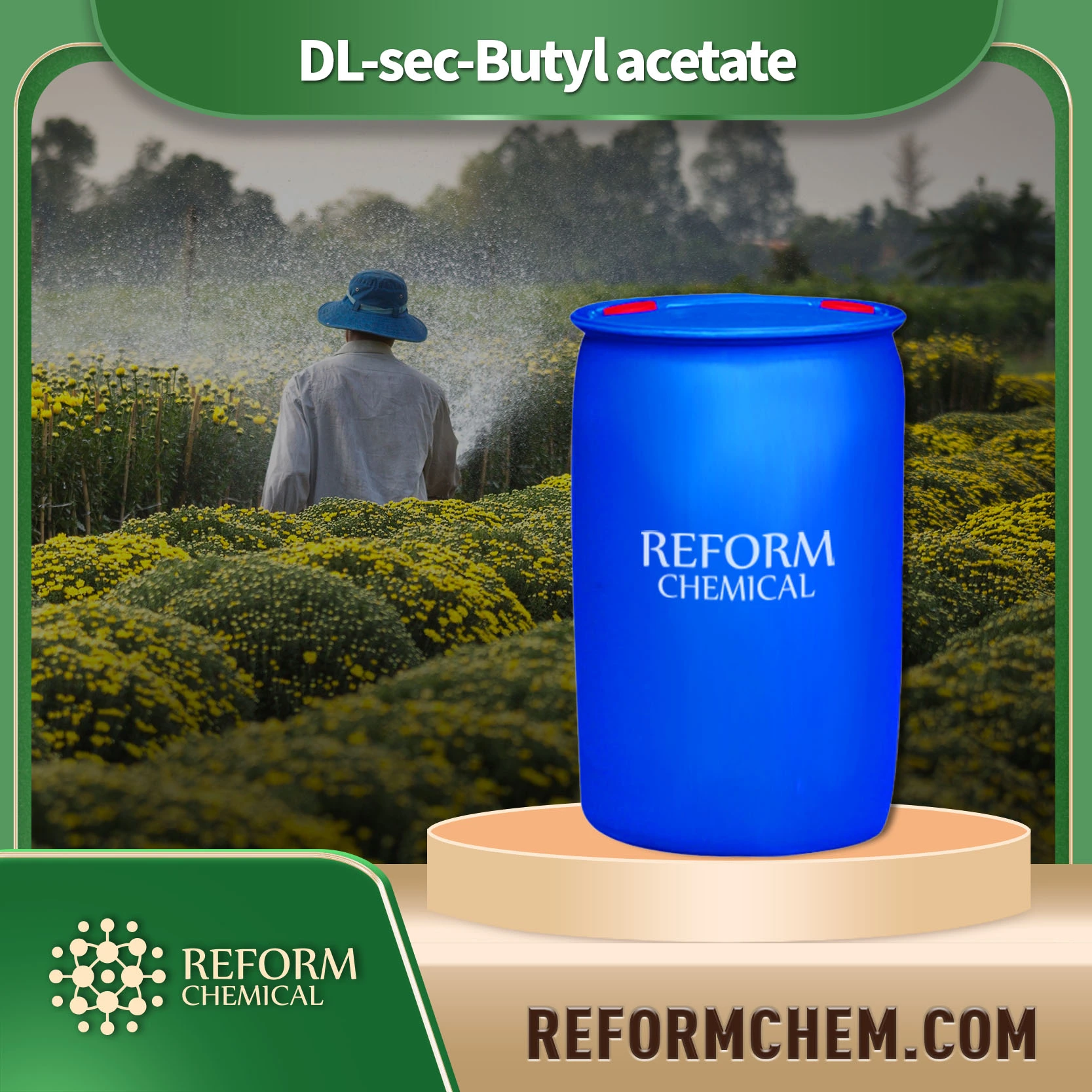 DL-sec-Butyl acetat