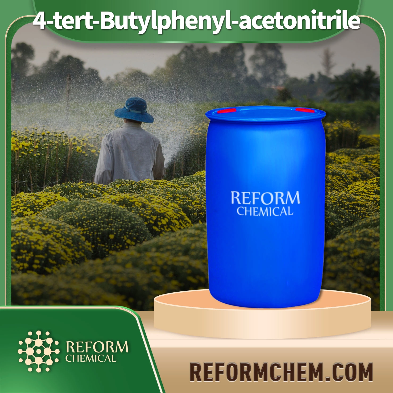 4-tert-Butylphenyl-aceton itril