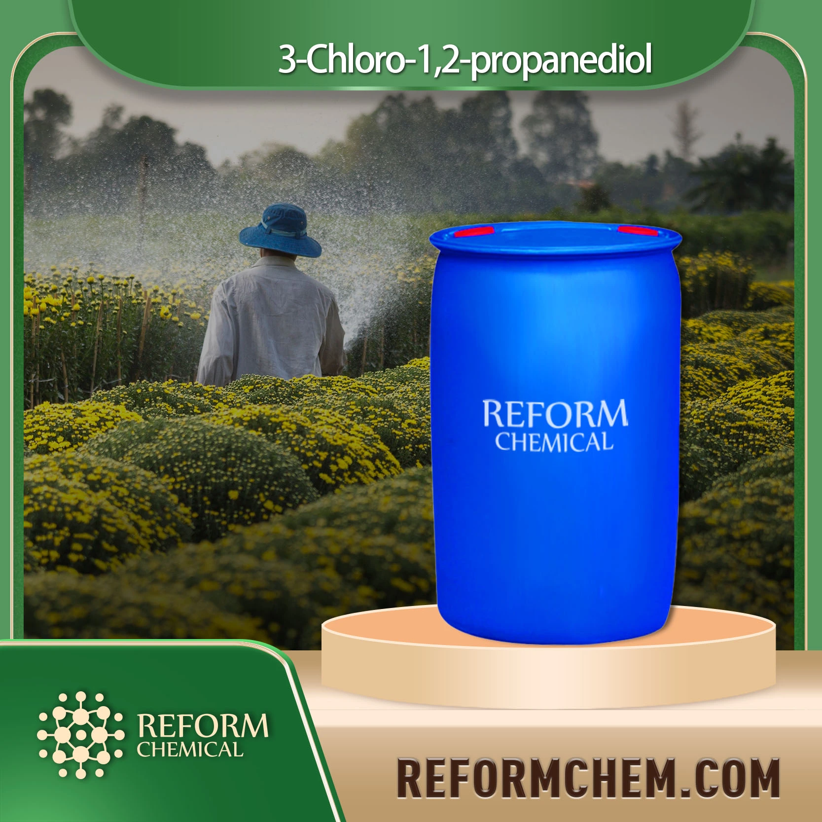 3 chloro 1 2 propanediol 96 24 2