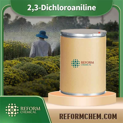 2,3-Dichloranilin