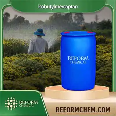 Iso butyl mercaptan