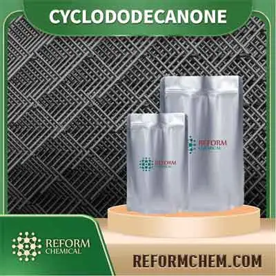 CYCLODODE CANON